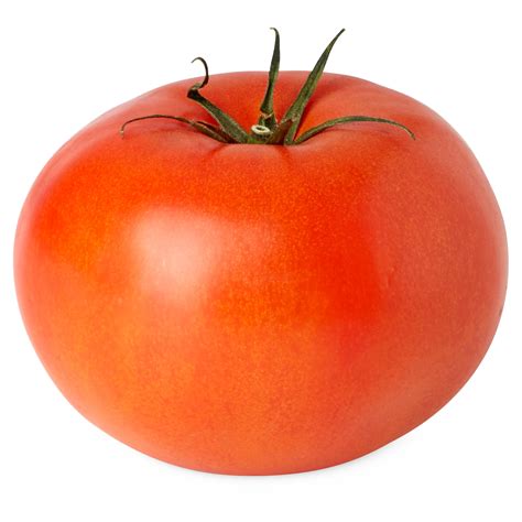 Tomato .